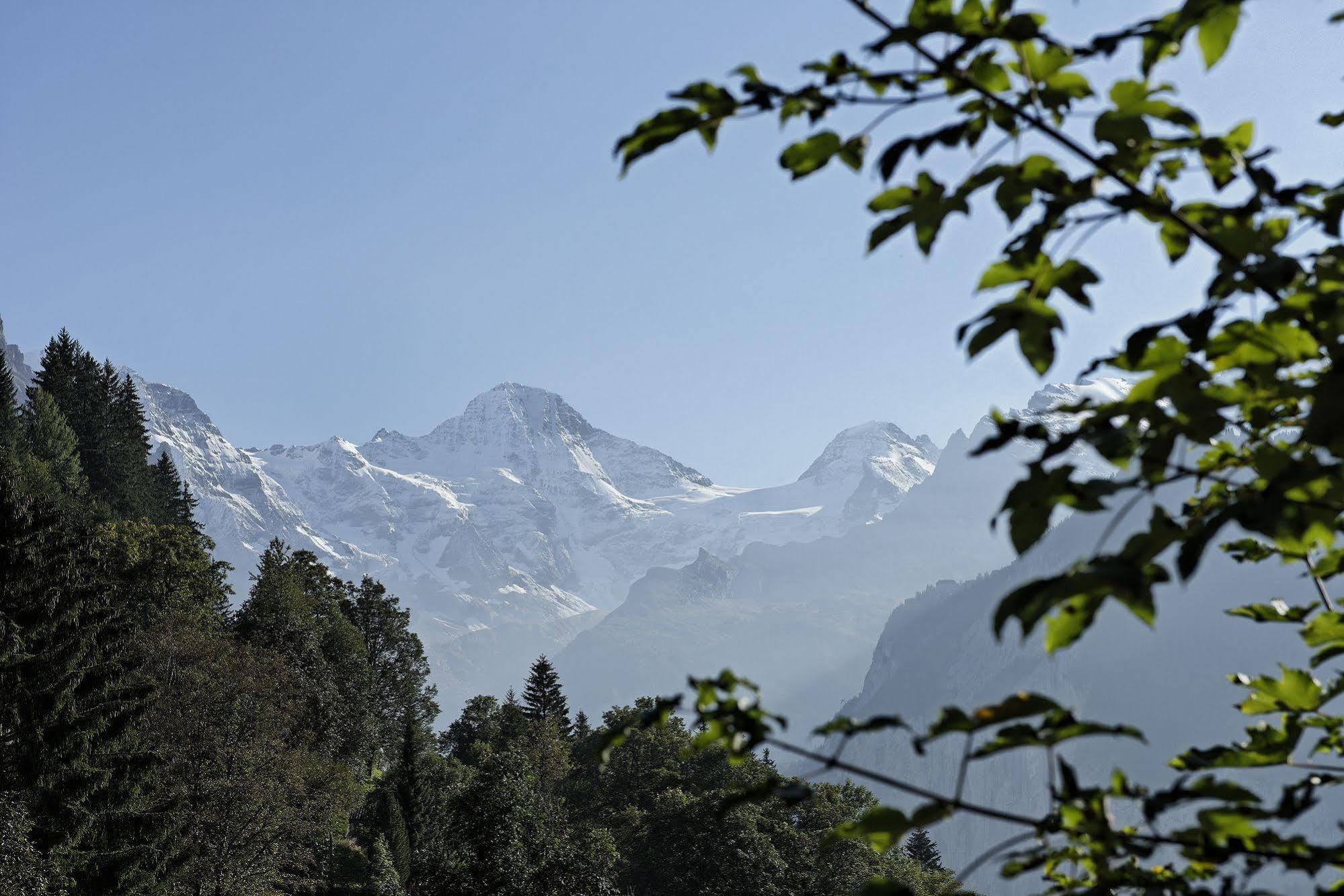 Hotel Alpenrose Wengen - A Family Affair Since 1881 Exterior photo